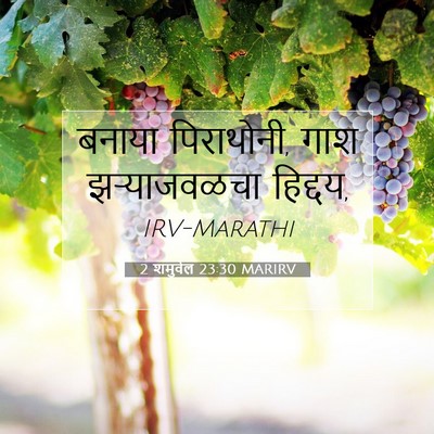 Picture 07 - 2 शमुवेल 23:30 MARIRV - बनाया पिराथोनी, - Bible Verse Picture