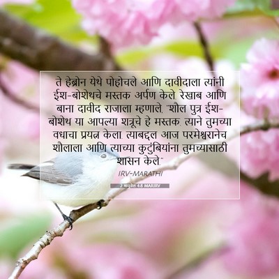 Picture 07 - 2 शमुवेल 4:8 MARIRV - ते हेब्रोन येथे - Bible Verse Picture
