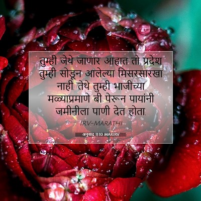 Picture 07 - अनुवाद 11:10 MARIRV - तुम्ही जेथे जाणार - Bible Verse Picture