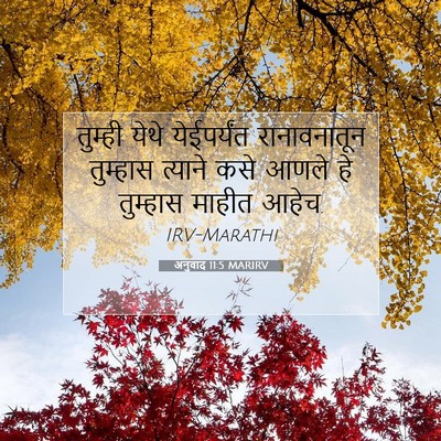 Picture 07 - अनुवाद 11:5 MARIRV - तुम्ही येथे - Bible Verse Picture