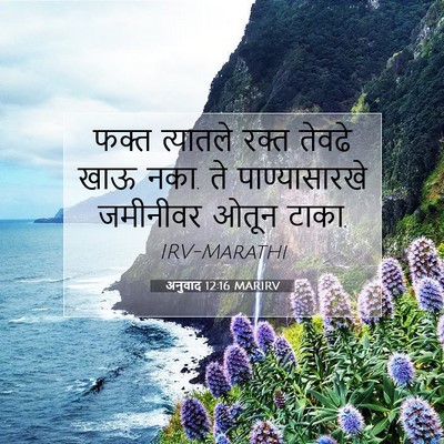 Picture 07 - अनुवाद 12:16 MARIRV - फक्त त्यातले रक्त - Bible Verse Picture