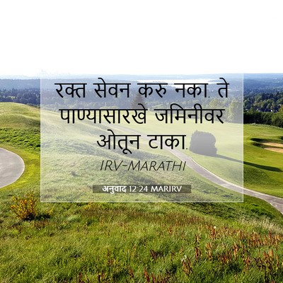 Picture 07 - अनुवाद 12:24 MARIRV - रक्त सेवन करु नका. - Bible Verse Picture