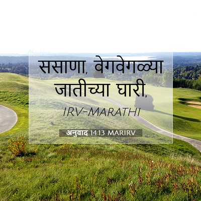 Picture 07 - अनुवाद 14:13 MARIRV - ससाणा, वेगवेगळ्या - Bible Verse Picture