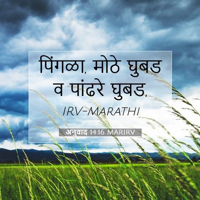 Picture 07 - अनुवाद 14:16 MARIRV - पिंगळा, मोठे घुबड व - Bible Verse Picture