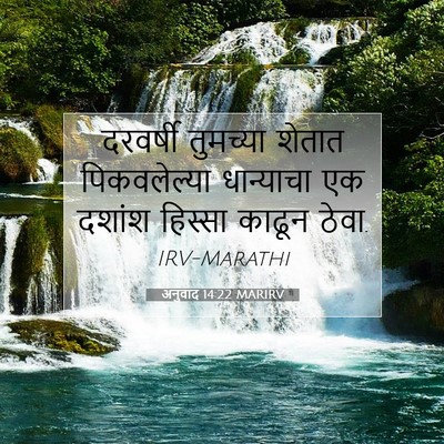 Picture 07 - अनुवाद 14:22 MARIRV - दरवर्षी तुमच्या - Bible Verse Picture