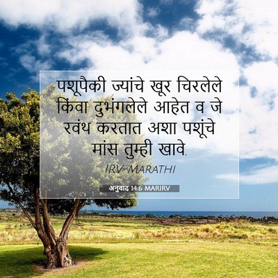 Picture 07 - अनुवाद 14:6 MARIRV - पशूपैकी ज्यांचे - Bible Verse Picture