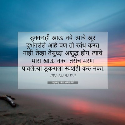 Picture 07 - अनुवाद 14:8 MARIRV - डुक्करही खाऊ नये. - Bible Verse Picture