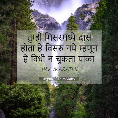Picture 07 - अनुवाद 16:12 MARIRV - तुम्ही मिसरमध्ये - Bible Verse Picture