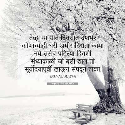 Picture 07 - अनुवाद 16:4 MARIRV - तेव्हा या सात - Bible Verse Picture