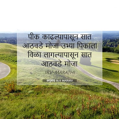 Picture 07 - अनुवाद 16:9 MARIRV - पीक काढल्यापासून - Bible Verse Picture