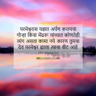 Picture 07 - अनुवाद 17:1 MARIRV - परमेश्वरास यज्ञात - Bible Verse Picture