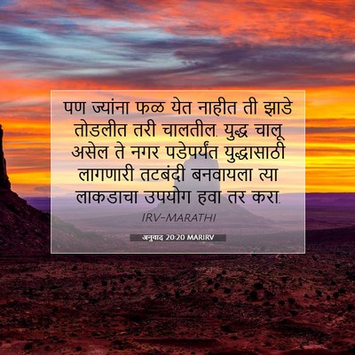 Picture 07 - अनुवाद 20:20 MARIRV - पण ज्यांना फळ येत - Bible Verse Picture