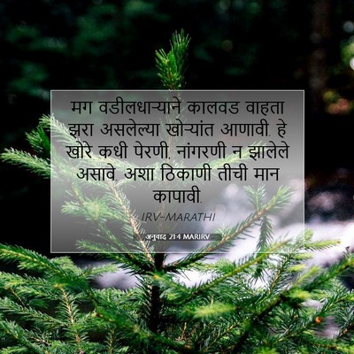 Picture 07 - अनुवाद 21:4 MARIRV - मग वडीलधाऱ्याने - Bible Verse Picture