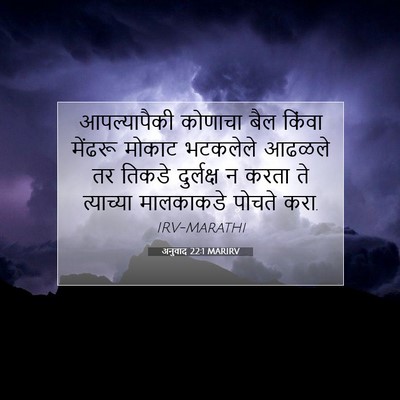 Picture 07 - अनुवाद 22:1 MARIRV - आपल्यापैकी कोणाचा - Bible Verse Picture