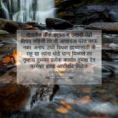 Picture 07 - अनुवाद 24:19 MARIRV - शेतातील पीक - Bible Verse Picture
