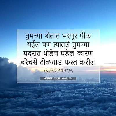 Picture 07 - अनुवाद 28:38 MARIRV - तुमच्या शेतात - Bible Verse Picture
