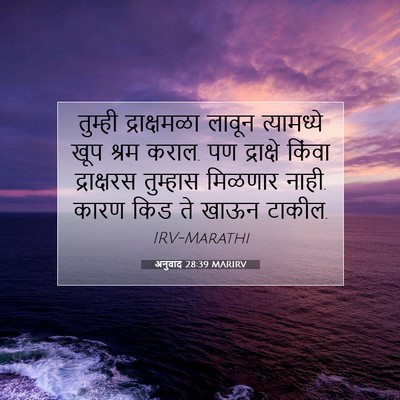Picture 07 - अनुवाद 28:39 MARIRV - तुम्ही द्राक्षमळा - Bible Verse Picture