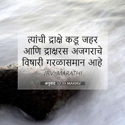 Picture 07 - अनुवाद 32:33 MARIRV - त्यांची द्राक्षे - Bible Verse Picture