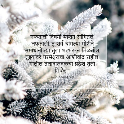 Picture 07 - अनुवाद 33:23 MARIRV - नफताली विषयी - Bible Verse Picture