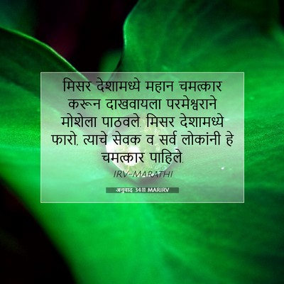 Picture 07 - अनुवाद 34:11 MARIRV - मिसर देशामध्ये - Bible Verse Picture