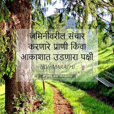 Picture 07 - अनुवाद 4:17 MARIRV - जमिनीवरील संचार - Bible Verse Picture