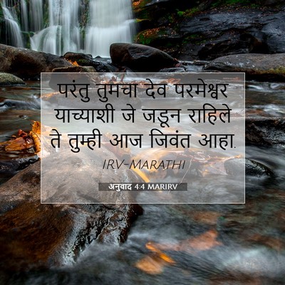 Picture 07 - अनुवाद 4:4 MARIRV - परंतु तुमचा देव - Bible Verse Picture