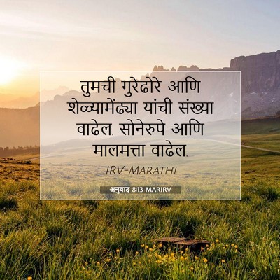 Picture 07 - अनुवाद 8:13 MARIRV - तुमची गुरेढोरे - Bible Verse Picture