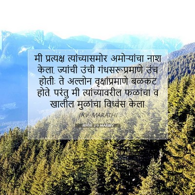 Picture 07 - आमोस 2:9 MARIRV - मी प्रत्यक्ष - Bible Verse Picture