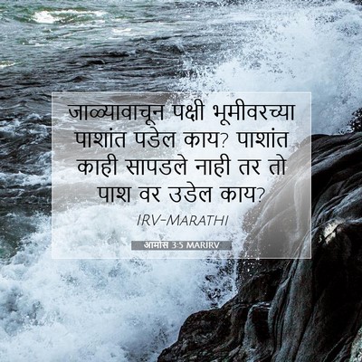 Picture 07 - आमोस 3:5 MARIRV - जाळ्यावाचून पक्षी - Bible Verse Picture