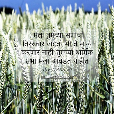 Picture 07 - आमोस 5:21 MARIRV - “मला तुमच्या - Bible Verse Picture