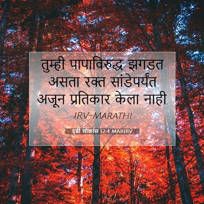 Picture 07 - इब्री लोकांस 12:4 MARIRV - तुम्ही - Bible Verse Picture