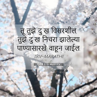 Picture 07 - ईयोब 11:16 MARIRV - तू तुझे दु:ख - Bible Verse Picture