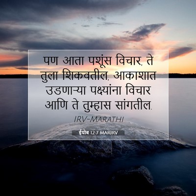Picture 07 - ईयोब 12:7 MARIRV - पण आता पशूंस विचार, - Bible Verse Picture