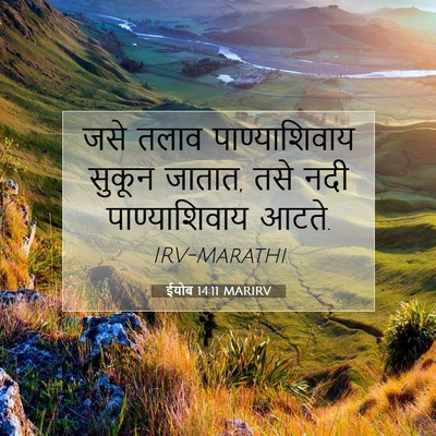 Picture 07 - ईयोब 14:11 MARIRV - जसे तलाव - Bible Verse Picture