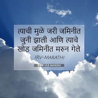 Picture 07 - ईयोब 14:8 MARIRV - त्याची मुळे जरी - Bible Verse Picture