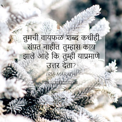 Picture 07 - ईयोब 16:3 MARIRV - तुमची वायफळ शब्द - Bible Verse Picture