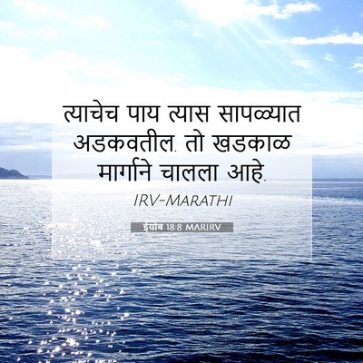 Picture 07 - ईयोब 18:8 MARIRV - त्याचेच पाय त्यास - Bible Verse Picture