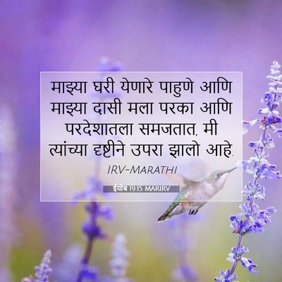Picture 07 - ईयोब 19:15 MARIRV - माझ्या घरी येणारे - Bible Verse Picture