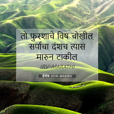 Picture 07 - ईयोब 20:16 MARIRV - तो फुरशाचे विष - Bible Verse Picture