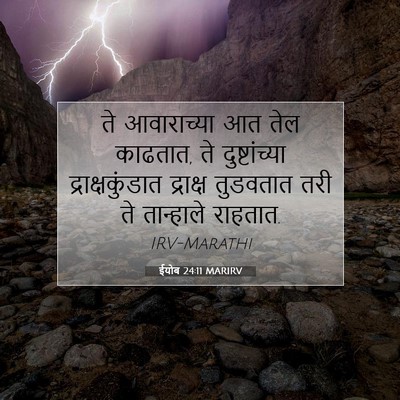 Picture 07 - ईयोब 24:11 MARIRV - ते आवाराच्या आत - Bible Verse Picture