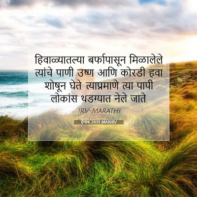 Picture 07 - ईयोब 24:19 MARIRV - हिवाळ्यातल्या - Bible Verse Picture