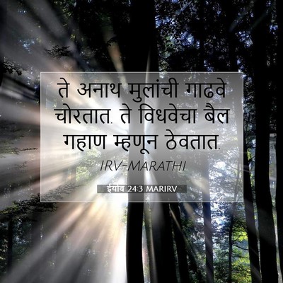 Picture 07 - ईयोब 24:3 MARIRV - ते अनाथ मुलांची - Bible Verse Picture