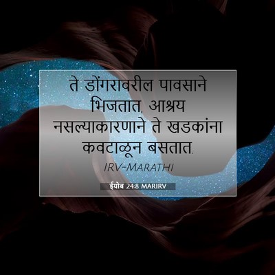 Picture 07 - ईयोब 24:8 MARIRV - ते डोंगरावरील - Bible Verse Picture
