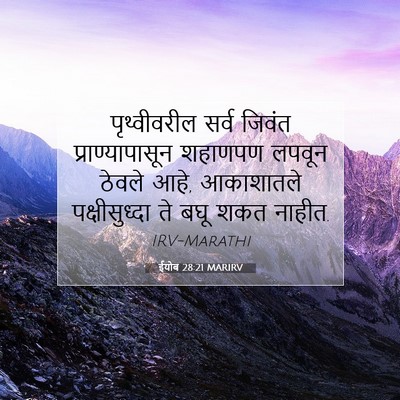 Picture 07 - ईयोब 28:21 MARIRV - पृथ्वीवरील सर्व - Bible Verse Picture
