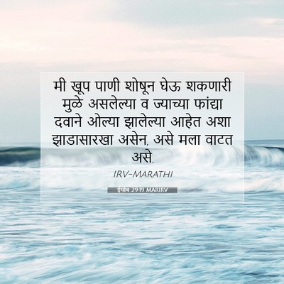 Picture 07 - ईयोब 29:19 MARIRV - मी खूप पाणी शोषून - Bible Verse Picture