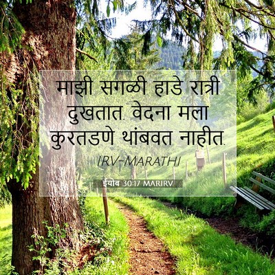 Picture 07 - ईयोब 30:17 MARIRV - माझी सगळी हाडे - Bible Verse Picture