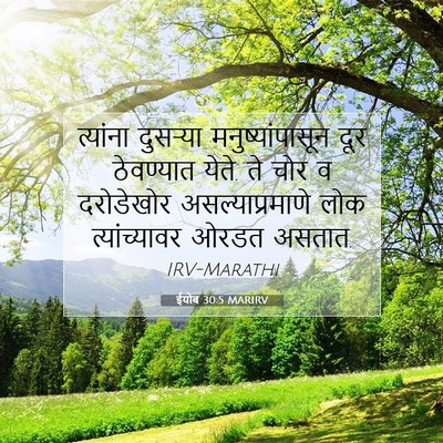Picture 07 - ईयोब 30:5 MARIRV - त्यांना दुसऱ्या - Bible Verse Picture