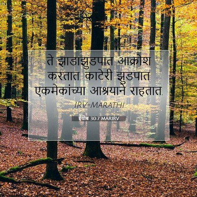 Picture 07 - ईयोब 30:7 MARIRV - ते झाडाझुडपात - Bible Verse Picture