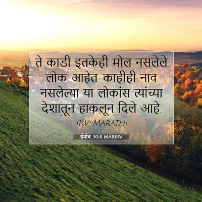 Picture 07 - ईयोब 30:8 MARIRV - ते काडी इतकेही मोल - Bible Verse Picture