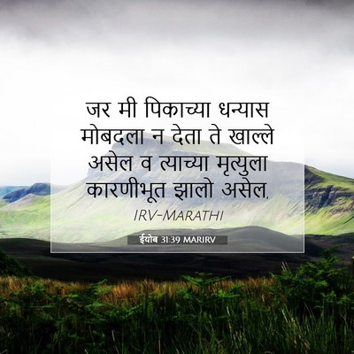 Picture 07 - ईयोब 31:39 MARIRV - जर मी पिकाच्या - Bible Verse Picture
